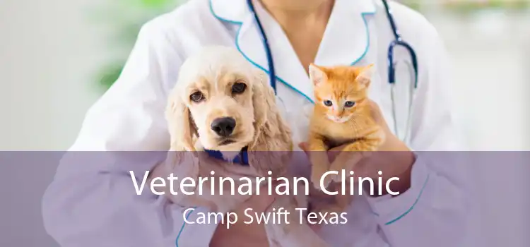 Veterinarian Clinic Camp Swift Texas