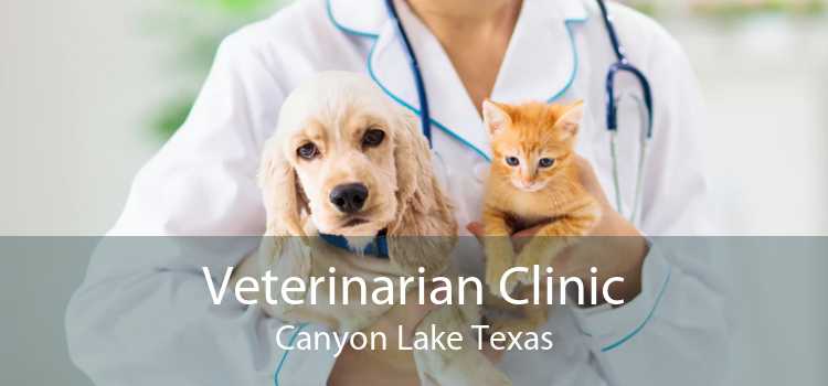 Veterinarian Clinic Canyon Lake Texas