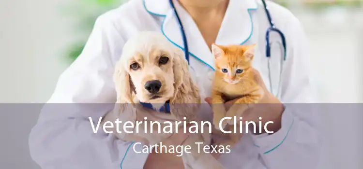 Veterinarian Clinic Carthage Texas