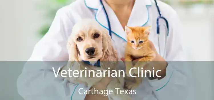 Veterinarian Clinic Carthage Texas