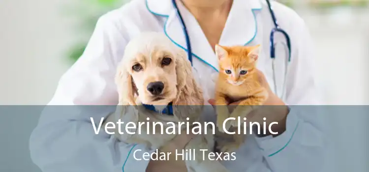 Veterinarian Clinic Cedar Hill Texas