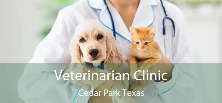 Veterinarian Clinic Cedar Park Texas