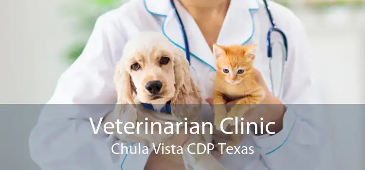Veterinarian Clinic Chula Vista CDP Texas