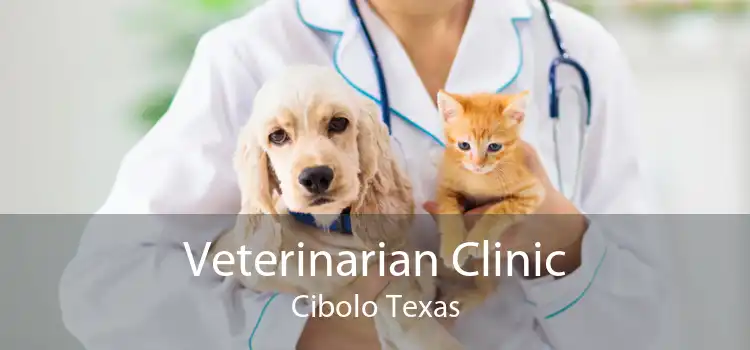 Veterinarian Clinic Cibolo Texas