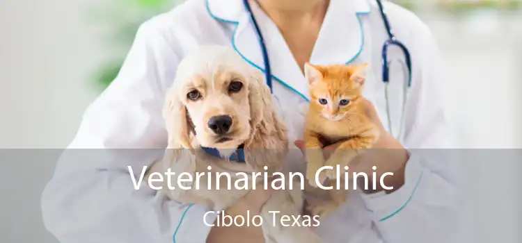 Veterinarian Clinic Cibolo Texas