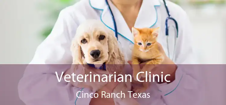 Veterinarian Clinic Cinco Ranch Texas