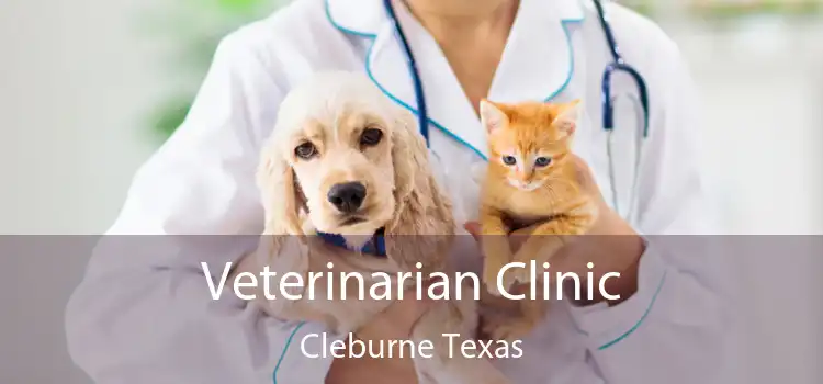 Veterinarian Clinic Cleburne Texas