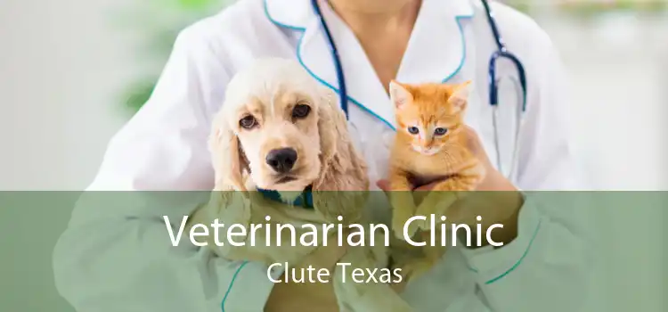 Veterinarian Clinic Clute Texas