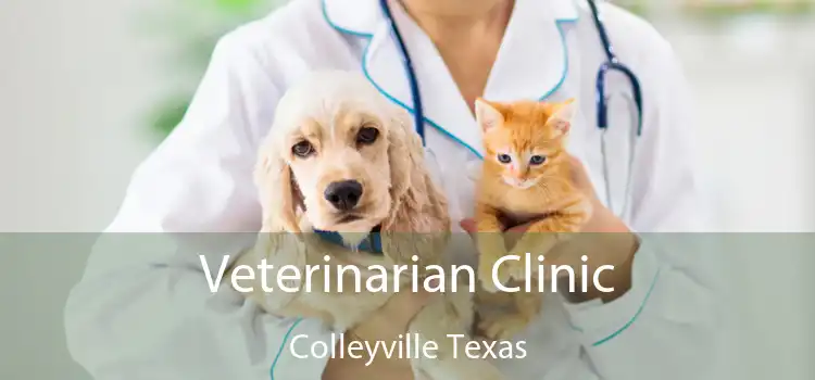 Veterinarian Clinic Colleyville Texas