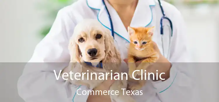 Veterinarian Clinic Commerce Texas