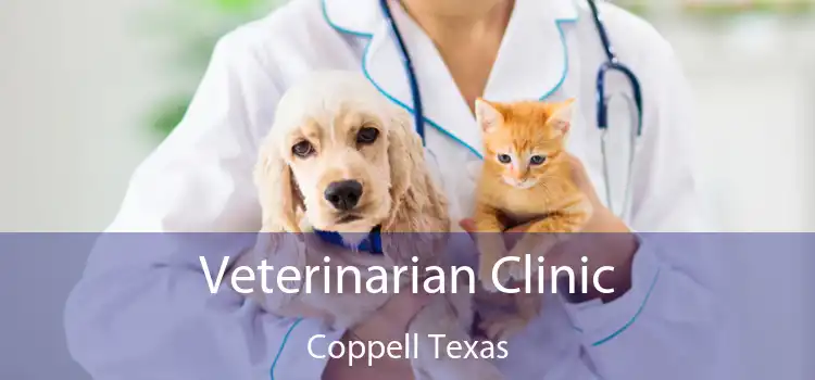 Veterinarian Clinic Coppell Texas