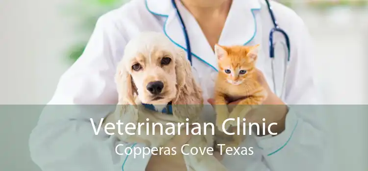 Veterinarian Clinic Copperas Cove Texas