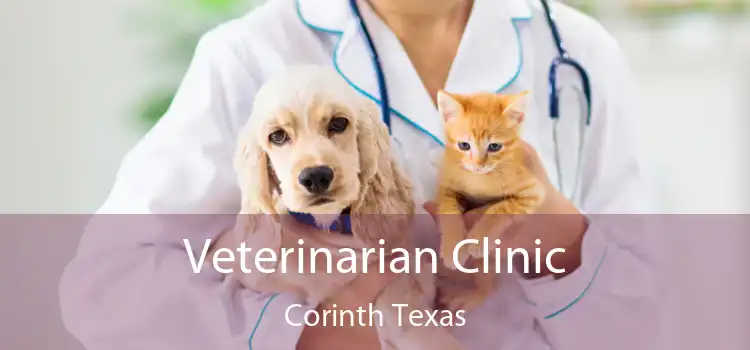 Veterinarian Clinic Corinth Texas