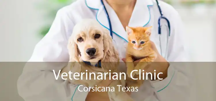 Veterinarian Clinic Corsicana Texas