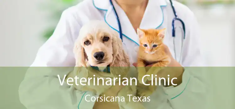 Veterinarian Clinic Corsicana Texas