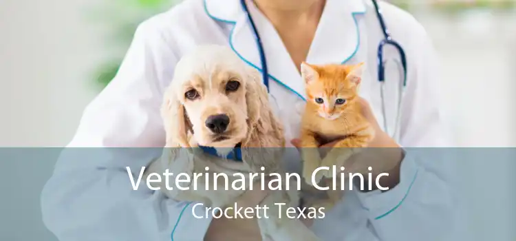 Veterinarian Clinic Crockett Texas