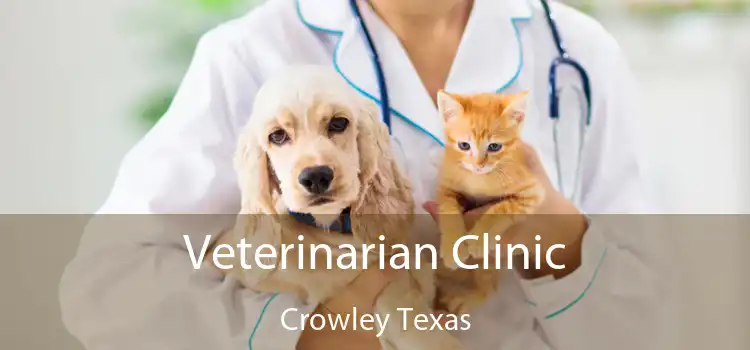 Veterinarian Clinic Crowley Texas