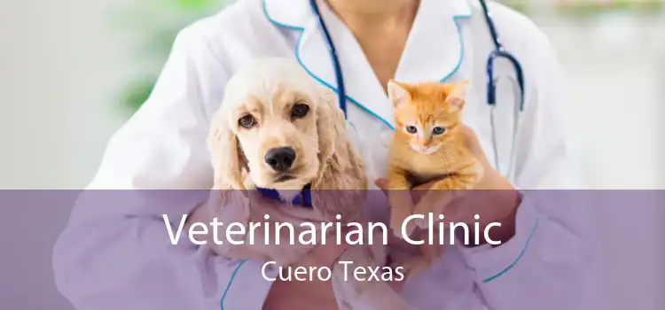 Veterinarian Clinic Cuero Texas