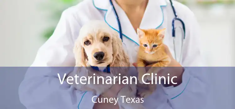 Veterinarian Clinic Cuney Texas