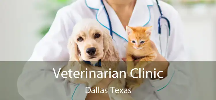 Veterinarian Clinic Dallas Texas