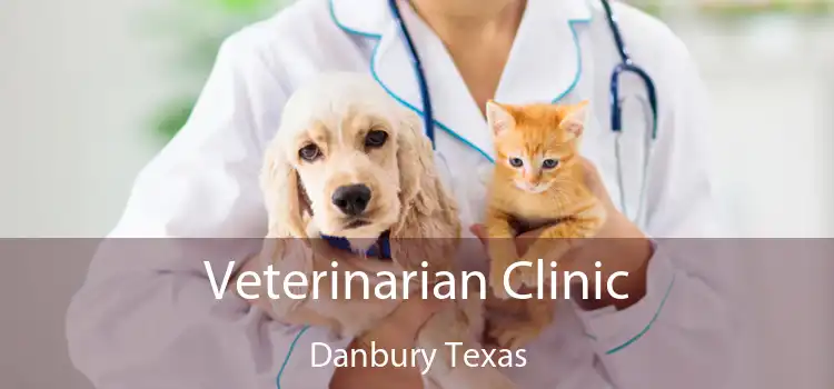 Veterinarian Clinic Danbury Texas