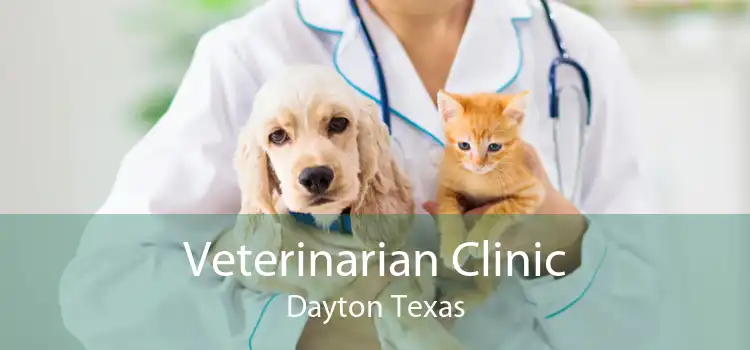 Veterinarian Clinic Dayton Texas