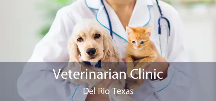 Veterinarian Clinic Del Rio Texas