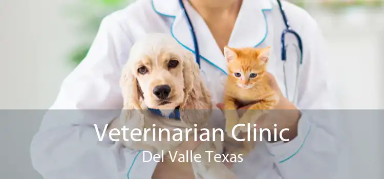 Veterinarian Clinic Del Valle Texas