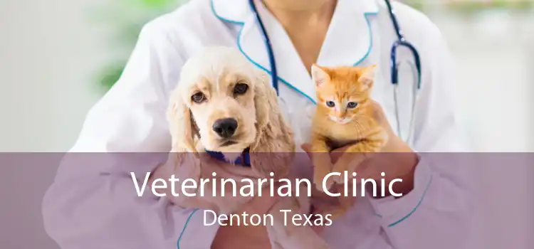 Veterinarian Clinic Denton Texas