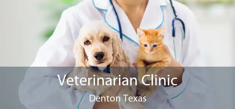 Veterinarian Clinic Denton Texas