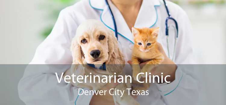 Veterinarian Clinic Denver City Texas
