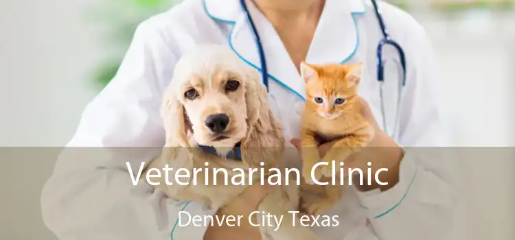 Veterinarian Clinic Denver City Texas