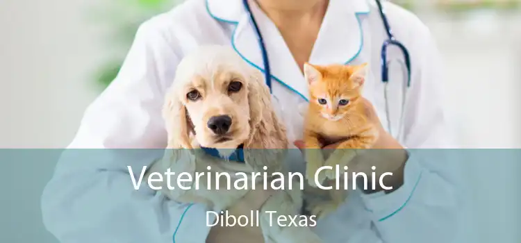 Veterinarian Clinic Diboll Texas