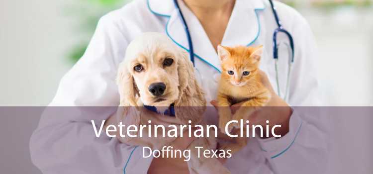 Veterinarian Clinic Doffing Texas