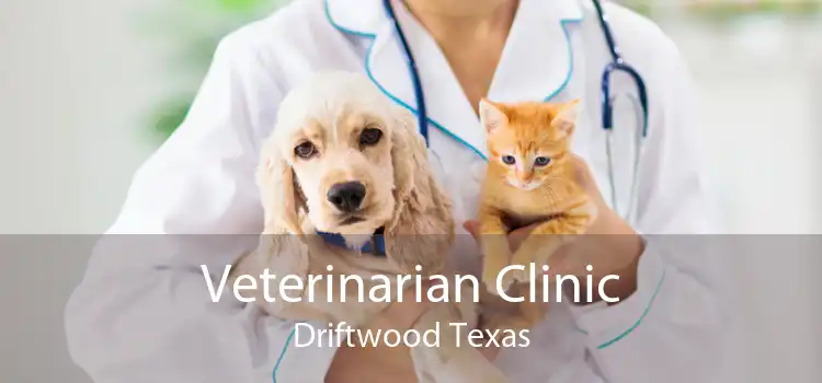 Veterinarian Clinic Driftwood Texas