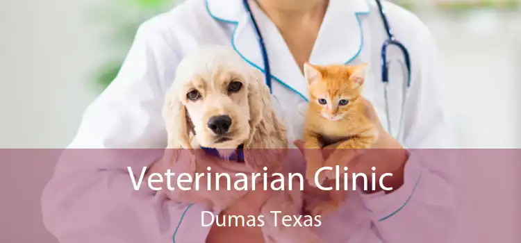 Veterinarian Clinic Dumas Texas