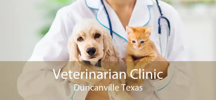 Veterinarian Clinic Duncanville Texas