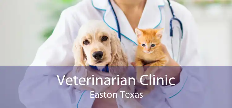 Veterinarian Clinic Easton Texas