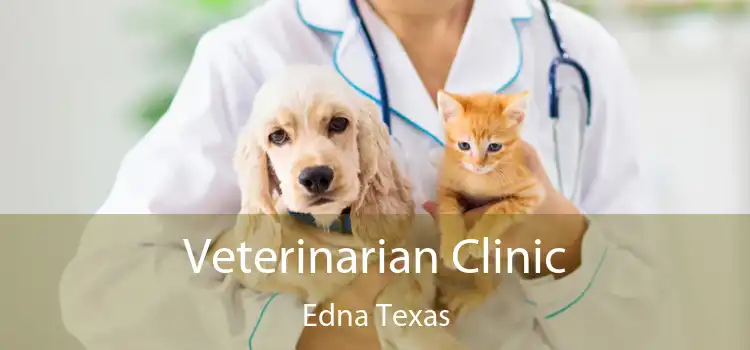 Veterinarian Clinic Edna Texas