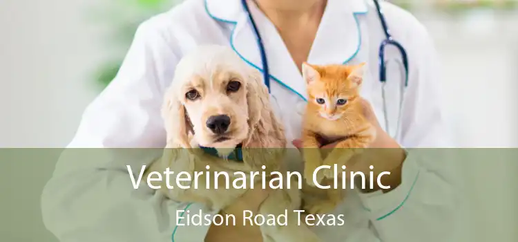 Veterinarian Clinic Eidson Road Texas