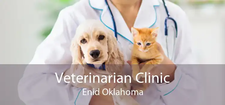 Veterinarian Clinic Enid Oklahoma