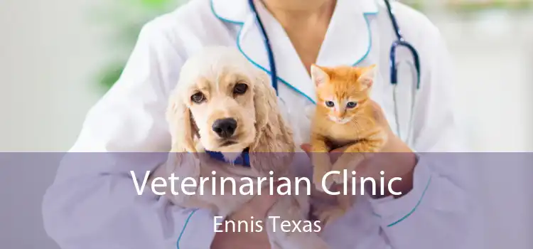 Veterinarian Clinic Ennis Texas