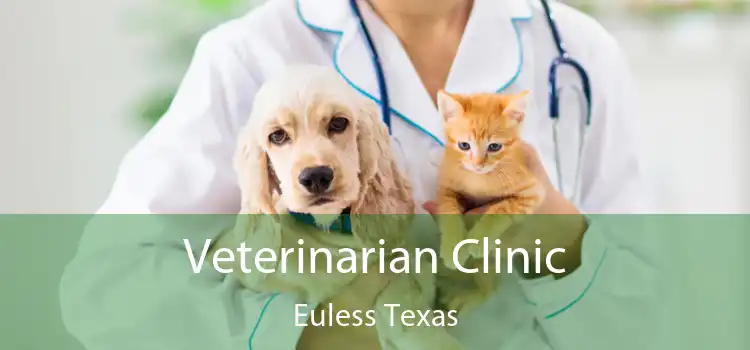 Veterinarian Clinic Euless Texas