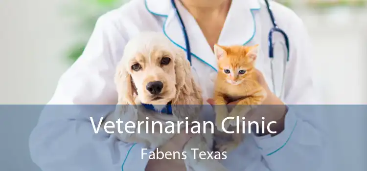 Veterinarian Clinic Fabens Texas