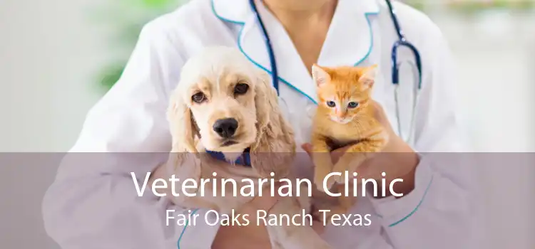 Veterinarian Clinic Fair Oaks Ranch Texas