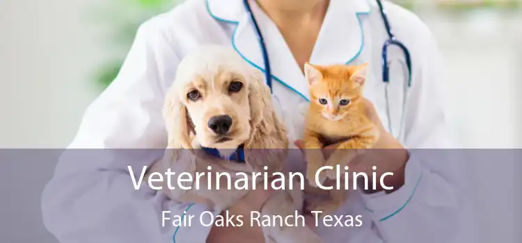 Veterinarian Clinic Fair Oaks Ranch Texas