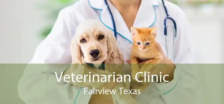 Veterinarian Clinic Fairview Texas