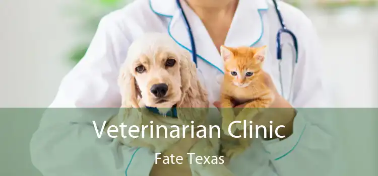 Veterinarian Clinic Fate Texas