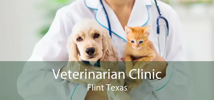 Veterinarian Clinic Flint Texas