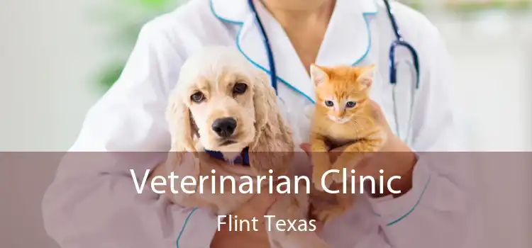 Veterinarian Clinic Flint Texas